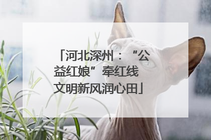 河北深州：“公益红娘”牵红线 文明新风润心田