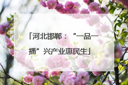 河北邯郸：“一品一播”兴产业惠民生