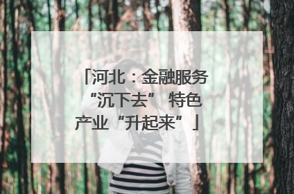 河北：金融服务“沉下去” 特色产业“升起来”