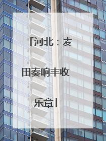河北：麦田奏响丰收乐章