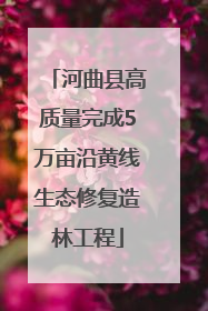 河曲县高质量完成5万亩沿黄线生态修复造林工程