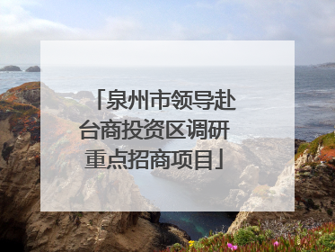 泉州市领导赴台商投资区调研重点招商项目
