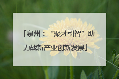 泉州：“聚才引智”助力战新产业创新发展