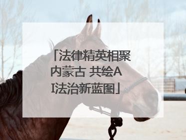 法律精英相聚内蒙古 共绘AI法治新蓝图