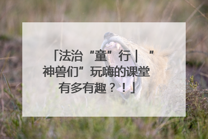 法治“童”行｜“神兽们”玩嗨的课堂有多有趣？！