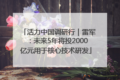 活力中国调研行｜雷军：未来5年将投2000亿元用于核心技术研发