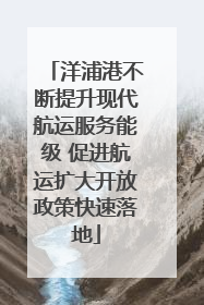 洋浦港不断提升现代航运服务能级 促进航运扩大开放政策快速落地
