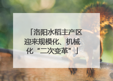 洛阳水稻主产区迎来规模化、机械化“二次变革”