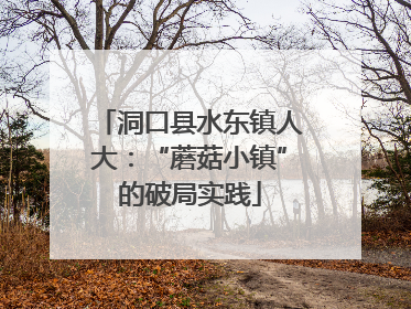 洞口县水东镇人大：“蘑菇小镇”的破局实践