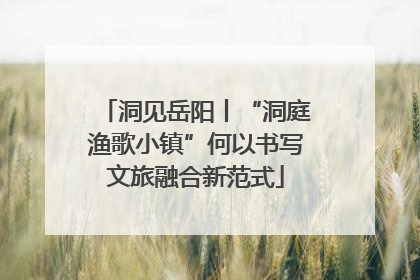 洞见岳阳丨“洞庭渔歌小镇”何以书写文旅融合新范式