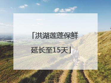 洪湖莲蓬保鲜延长至15天