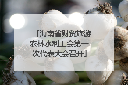 海南省财贸旅游农林水利工会第一次代表大会召开