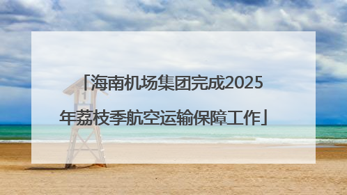海南机场集团完成2025年荔枝季航空运输保障工作