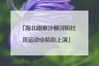 海北刚察沙柳河镇社区运动会精彩上演