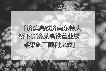 济滨高铁济南东特大桥下穿济莱高铁营业线架梁施工顺利完成