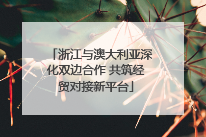 浙江与澳大利亚深化双边合作 共筑经贸对接新平台