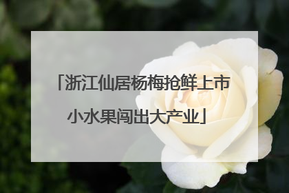 浙江仙居杨梅抢鲜上市 小水果闯出大产业