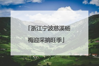 浙江宁波慈溪杨梅迎采摘旺季
