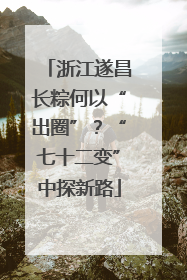 浙江遂昌长粽何以“出圈”？“七十二变”中探新路