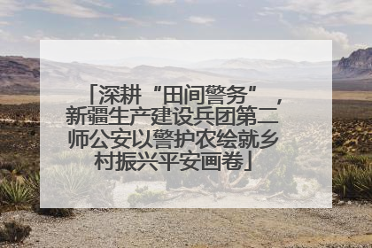 深耕“田间警务”，新疆生产建设兵团第二师公安以警护农绘就乡村振兴平安画卷