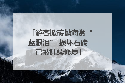 游客掀砖抛海赏“蓝眼泪” 损坏石砖已被陆续修复