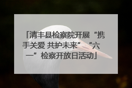 清丰县检察院开展“携手关爱 共护未来”“六一”检察开放日活动