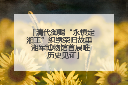 清代御赐“永镇定湘王”织绣荣归故里 湘军博物馆首展唯一历史见证