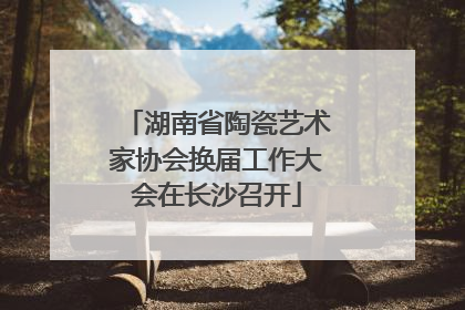 湖南省陶瓷艺术家协会换届工作大会在长沙召开