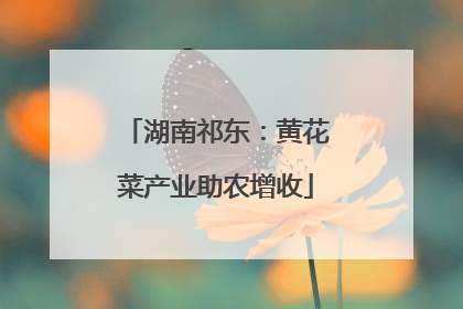 湖南祁东：黄花菜产业助农增收