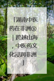 湖南中医药在非洲③｜跨越山海，中医药文化浸润非洲