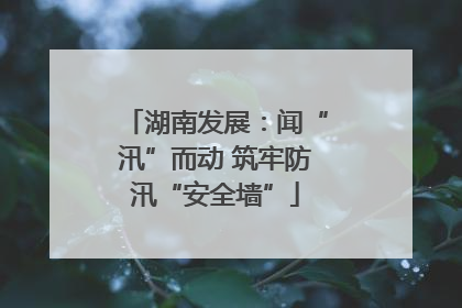 湖南发展：闻“汛”而动 筑牢防汛“安全墙”