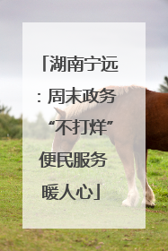 湖南宁远：周末政务“不打烊” 便民服务暖人心