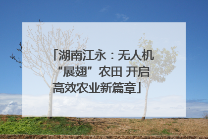 湖南江永：无人机“展翅”农田 开启高效农业新篇章