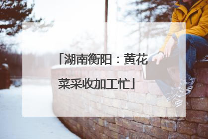 湖南衡阳：黄花菜采收加工忙