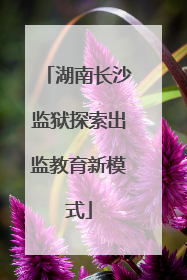 湖南长沙监狱探索出监教育新模式
