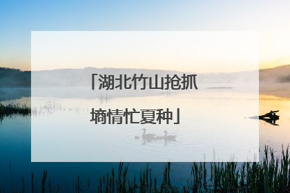 湖北竹山抢抓墒情忙夏种