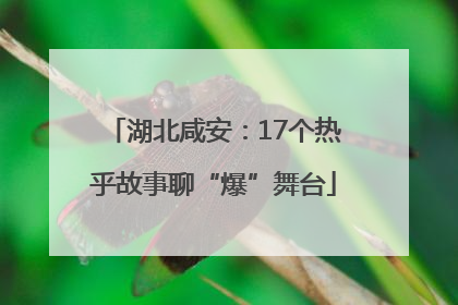 湖北咸安：17个热乎故事聊“爆”舞台