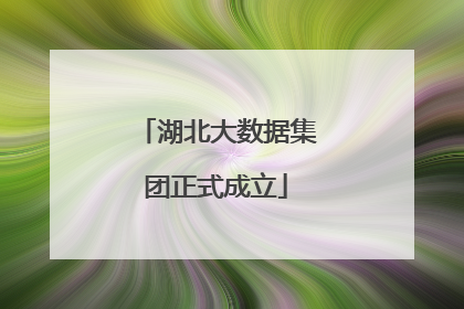 湖北大数据集团正式成立