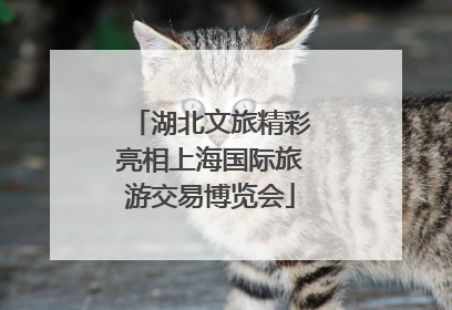 湖北文旅精彩亮相上海国际旅游交易博览会