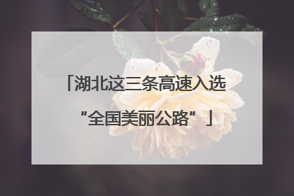 湖北这三条高速入选“全国美丽公路”