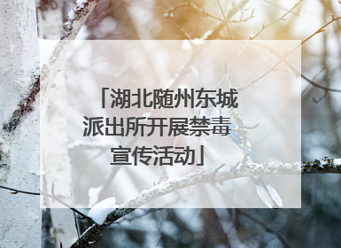 湖北随州东城派出所开展禁毒宣传活动