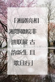 湘剧亮相湘鄂赣皖非遗联展 古韵新生 且歌且行