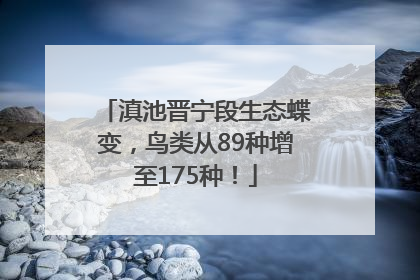 滇池晋宁段生态蝶变，鸟类从89种增至175种！