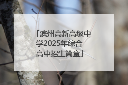 滨州高新高级中学2025年综合高中招生简章