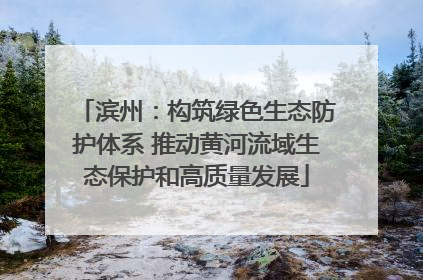滨州：构筑绿色生态防护体系 推动黄河流域生态保护和高质量发展