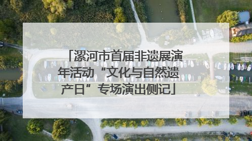 漯河市首届非遗展演年活动“文化与自然遗产日”专场演出侧记