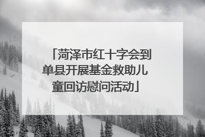 菏泽市红十字会到单县开展基金救助儿童回访慰问活动