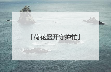 荷花盛开守护忙