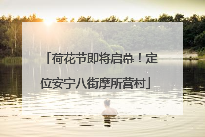 荷花节即将启幕！定位安宁八街摩所营村