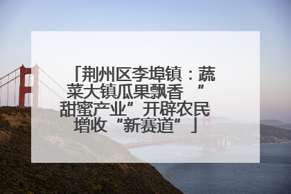 荆州区李埠镇：蔬菜大镇瓜果飘香 “甜蜜产业”开辟农民增收“新赛道”